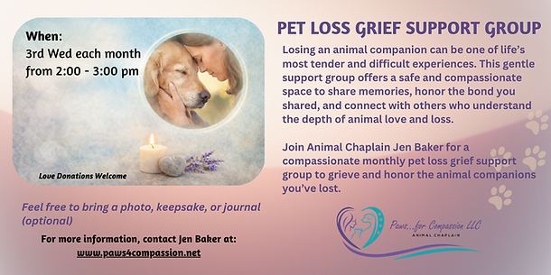 Unity Pet Grief Newsletter.png