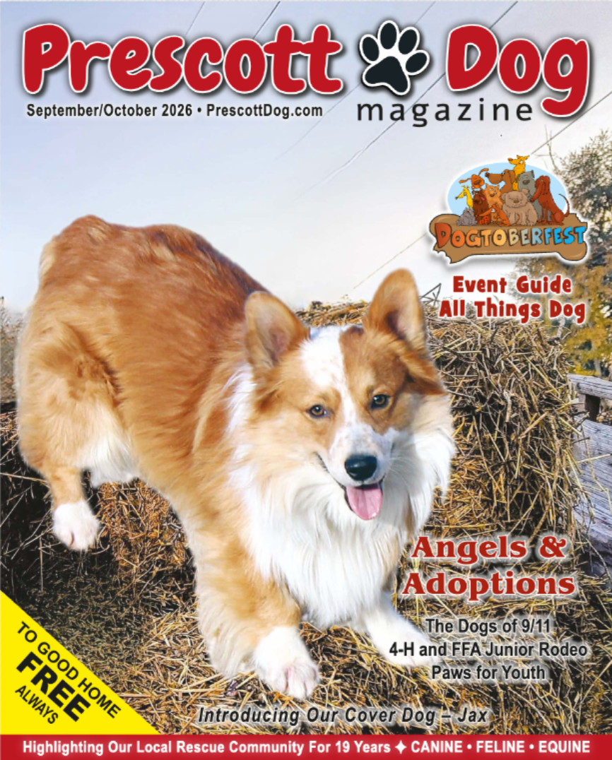 Deepening the Human–Animal Bond