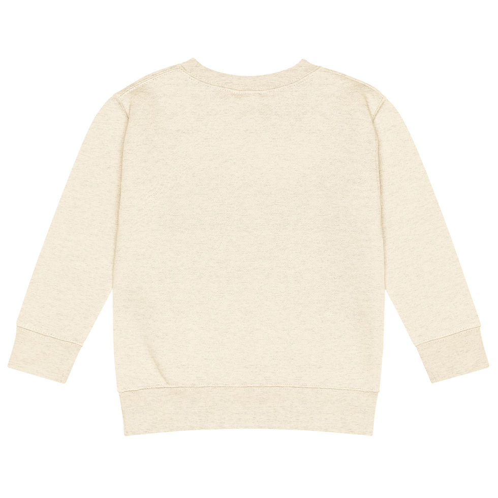 Thumbnail: Wild Child Boys - Kids crew neck sweatshirt