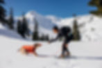 Web JPG-05702-Powder-Hound-Persimmon-Orange-Morgan-Griffey-Artists-Point-PhotoMitchPittman