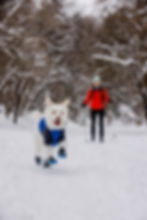 05702-Powder-Hound-Blue-Pool-Katie-Spaghetti-Utah-Print-47