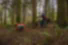 Web JPG-0577-Lumenglow-Tilly-Reggie-Bellingham-Biking-Print-45.jpg