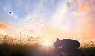 Mountaintops, Valleys, and the God Who Holds It All