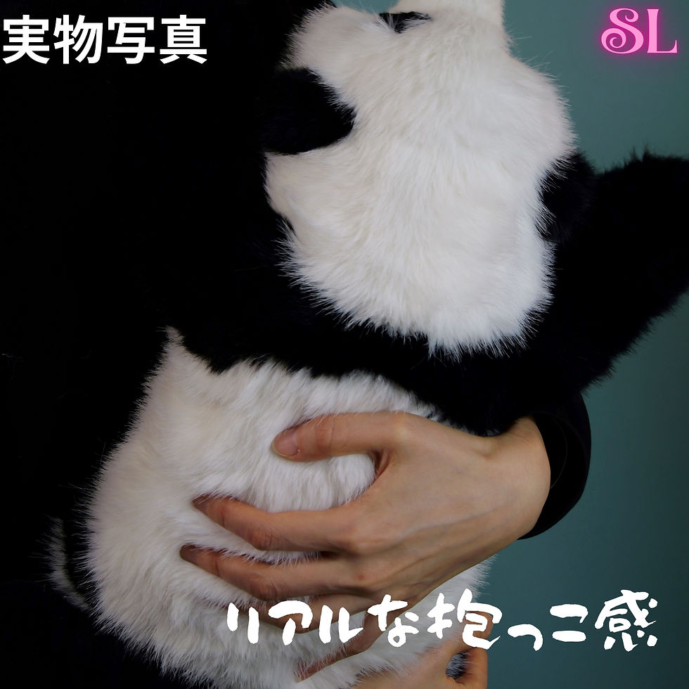 サムネイル： ３ヶ月齢ファファ パンダぬいぐるみが新登場！高品質なのに価格はお手頃！数量限定、お早めに！