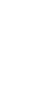 雙子星.png