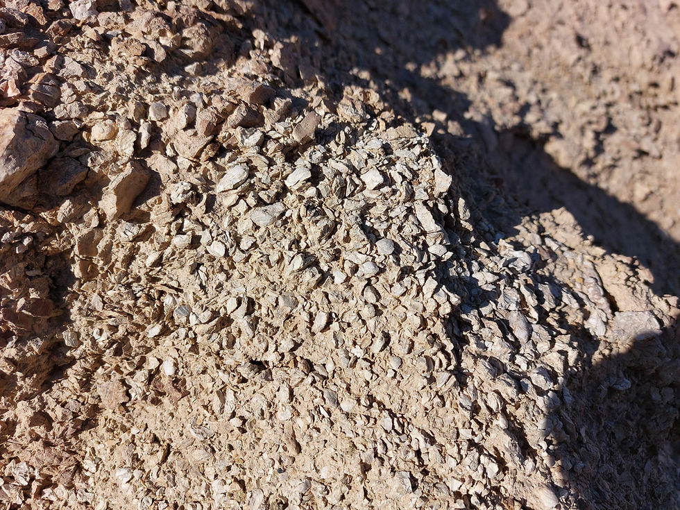 於吐魯番盆地考察侏羅紀時期地層