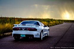 WhiteTransam-0142