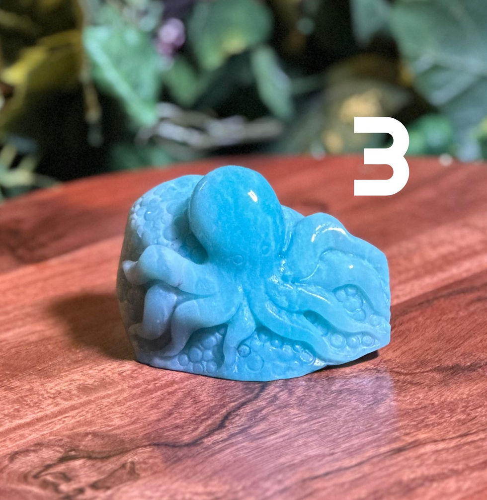 Thumbnail: Carribean Calcite Octopus