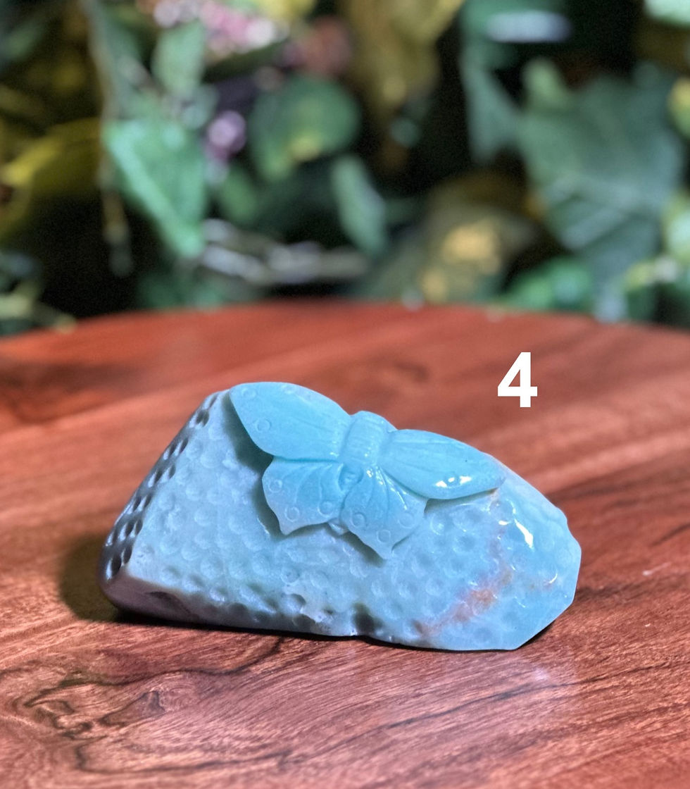 Thumbnail: Carribean Calcite Butterfly