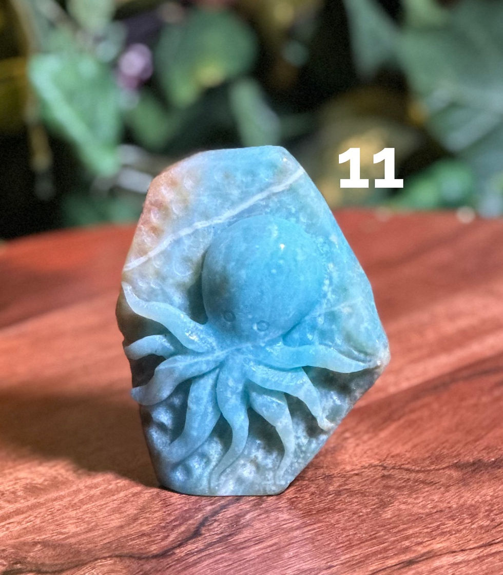 Thumbnail: Carribean Calcite Octopus
