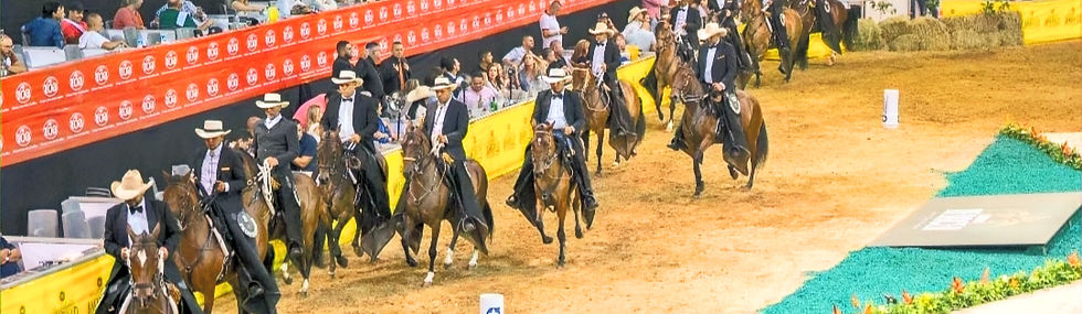 Riders in cowboy hats parade on horses in a sandy arena. A crowd watches from stands with red banners. The scene is lively and vibrant.