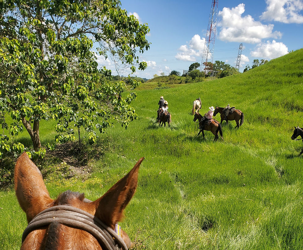 Horseback ride right at the heart of Colombia