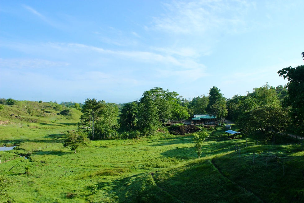 Close-up view of scenic viewpoint overlooking lush valleys