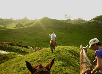 Counting caws by horse at nayra