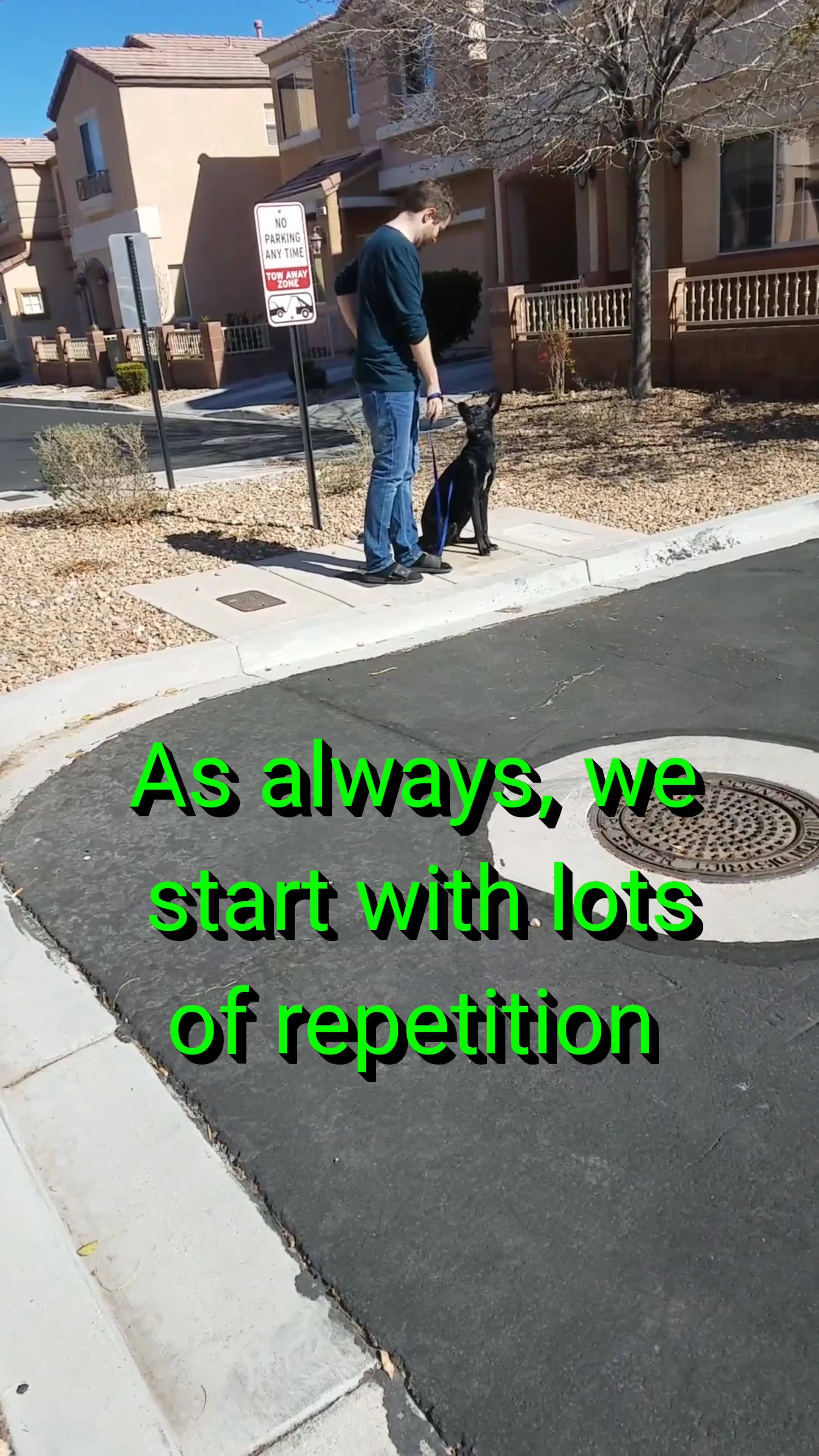 Teaching the sit-stay, adding distance and distraction. This is a snippet from a training session with a client.