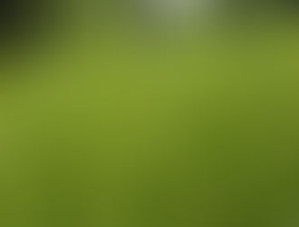 芳賀富士棚田の稲の様子をお届け!