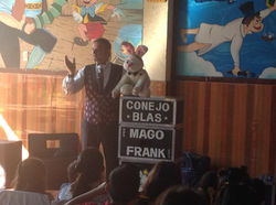 Shows de Magia