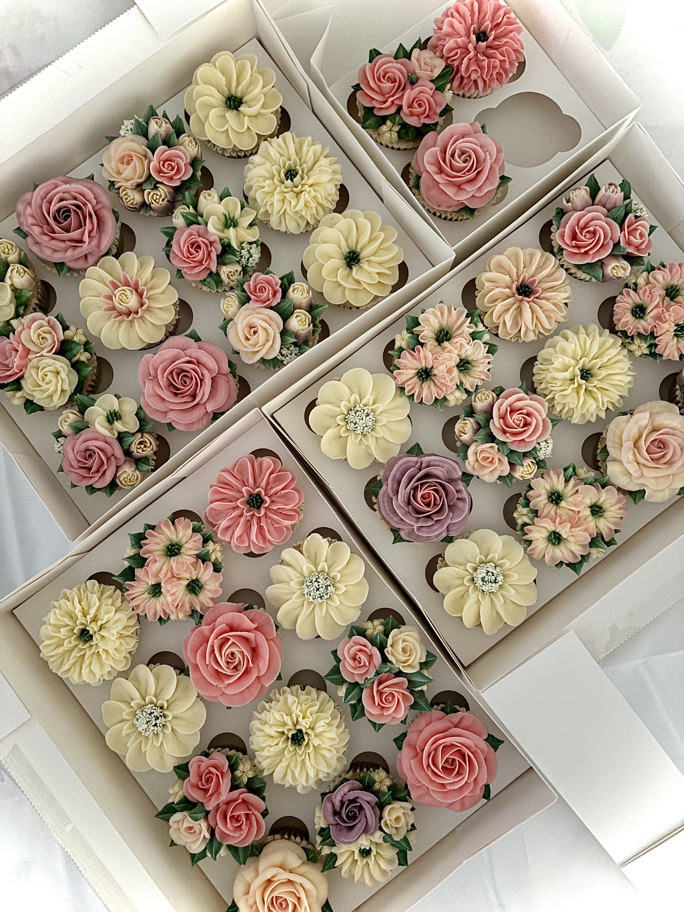 Arranged Food and Objects