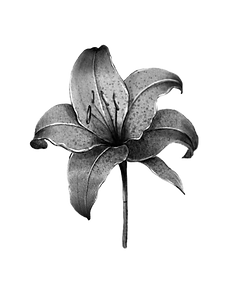 Screenshot 2025-05-24 at 22.30.15.png