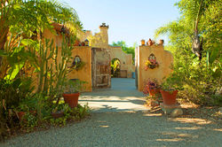 New Year New You, step on in