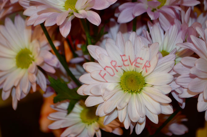 Forever