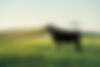 fcc_manhattanranch_A7vi_20240508_DSC06724.JPG