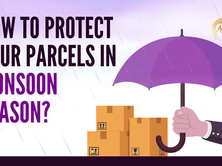 Hand holding purple umbrella shielding parcels in rain. Text: How to protect your parcels in monsoon season?