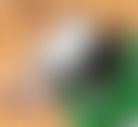 「傷兵Happened」:Steph Curry 於Game 3 的腳踝傷勢