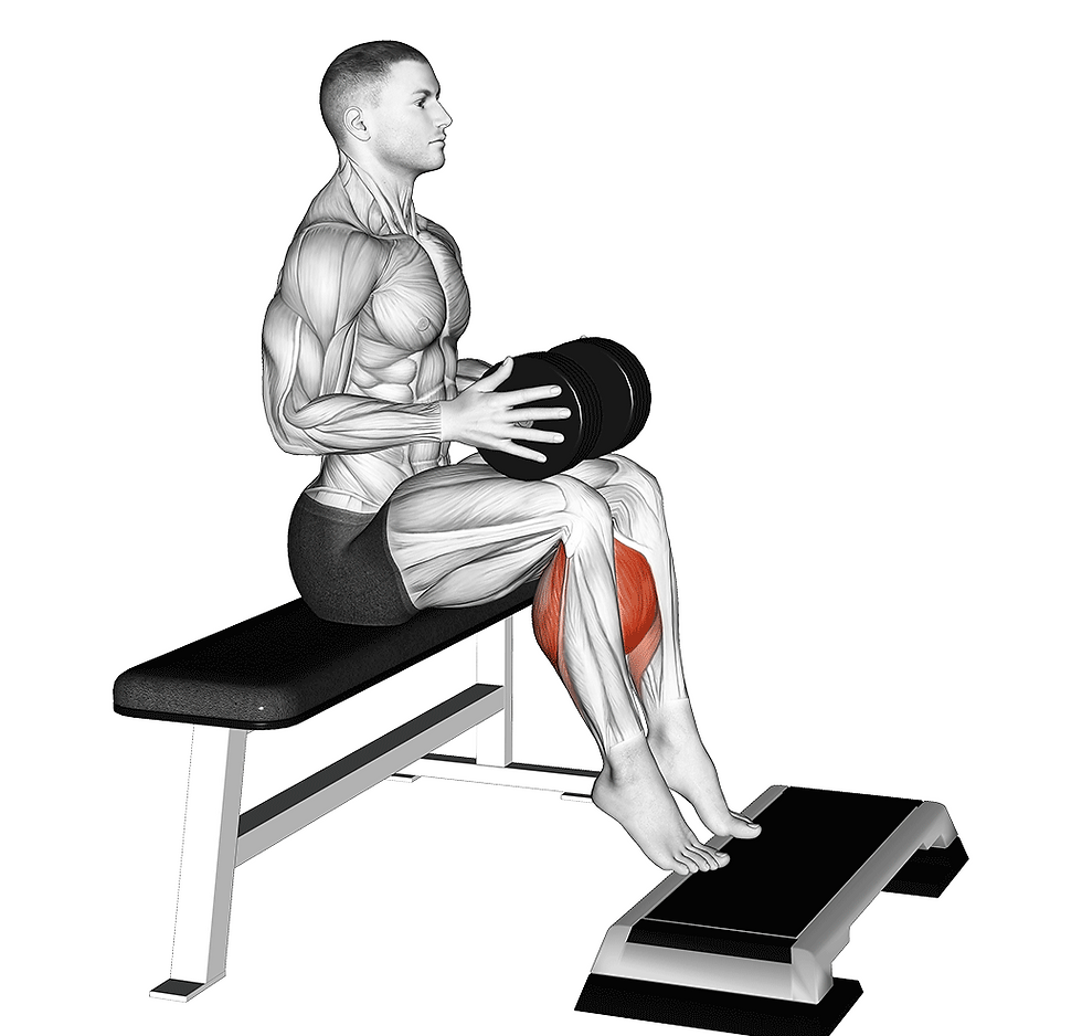 截圖於：https://www.inspireusafoundation.org/soleus-exercises/