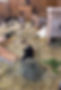 Rabbitat01.jpg