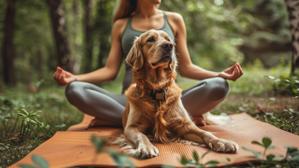 YOGA-FOTO-WALK