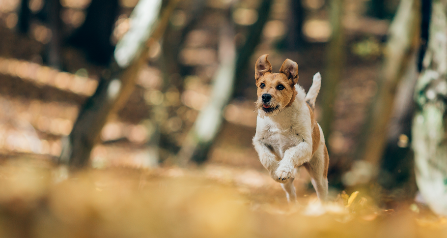 AdobeStock_467000031_2_edited.png