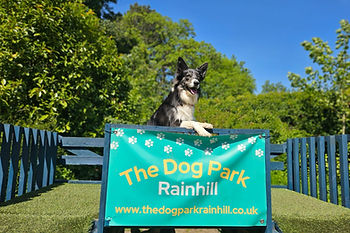The Dog Park Rainhill1