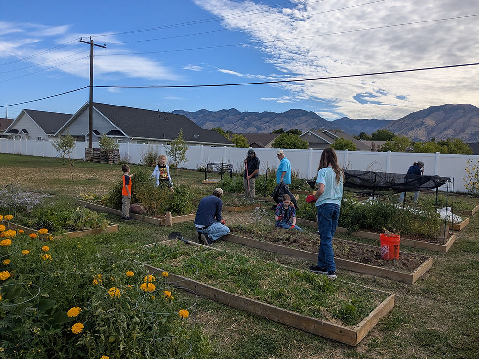 Volunteers of all ages came and pitched in today