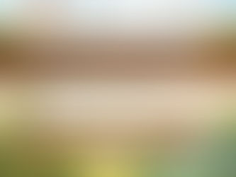 Plant lovers building Community