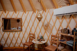 Hutki_wilk_jeleń_2022 (13)