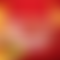 Firecracker: A Spicy Explosion of Flavor