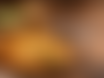 Potato and leek quiche made with Yukon Gold potatoes, Gruyère cheese, and Persian seasoning from Oak City Spice Blends on a rustic wooden table.