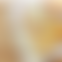 Chicken Quesadilla with Spiced Queso