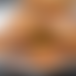 Tupelo Temptation Baked Wings