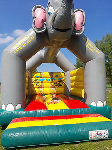 20250426_130326.jpg