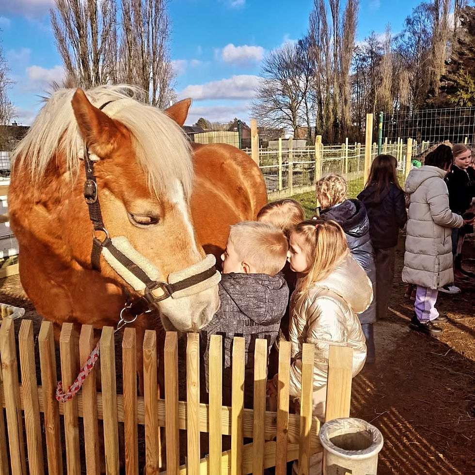 Thumbnail: Boerderijfeest