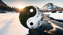 symbole du yin et du yang dans la nature.jpg