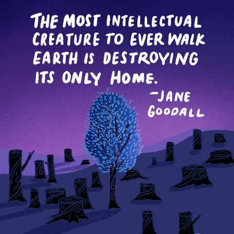 Jane Goodall Quote Gif