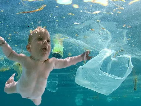 Breaking Free from Plastic Enslavement: Exploring Bio-Degradable Alternatives