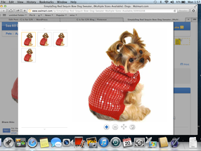 Web to Print Software for Pet Clothes: How to Make the Most Out of It?