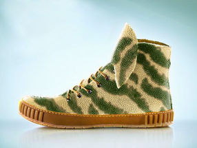 Features That Make Any Shoe Design Software Perfect