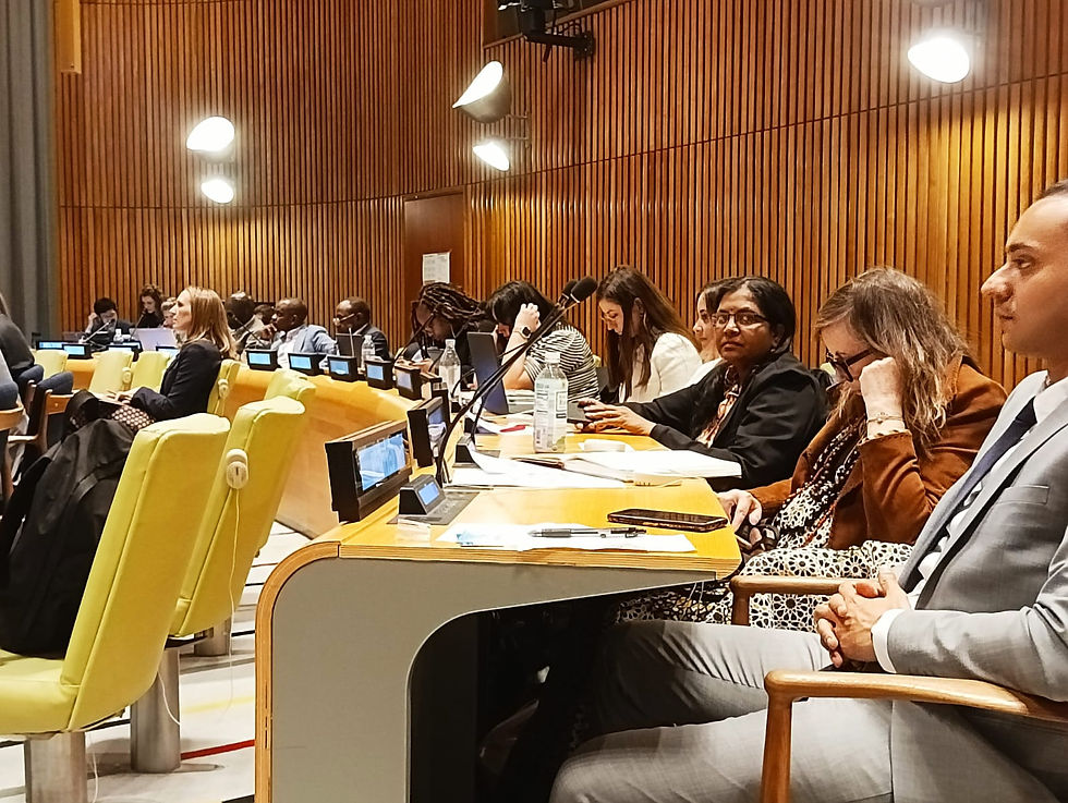 Blossom Trust at the United Nations Multi-Stakeholder Hearing on PPPR