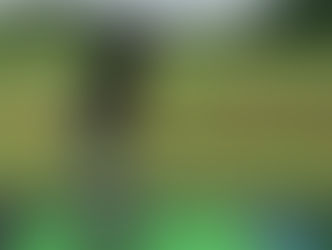 軸も心も保てない