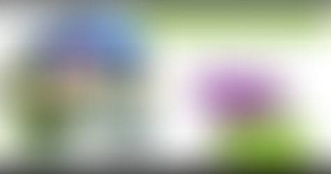 Check Out Indian Import Export Business Opportunities 2019